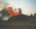 Osterfeuer auf dem Strootburg