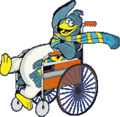 Pinguin im Rollstuhl