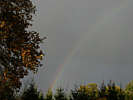 Regenbogen in Wippingen