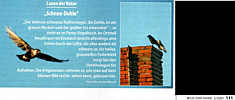 Bericht in der Zeitschrift "Wild und Hund" 2/2007