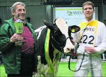 Den Zuchtzielen am nächsten kam Bessy. Das Tier des Zuchtbetriebes von Johann (links) und Johannes Hempen aus Wippingen wurde in Oldenburg zum „Grand Champion“ gekürt. Foto: Ems-Zeitung