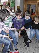 Border- Collis im Kindergarten St.Bartholomäus