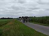 Fahrradtour des Heimatvereins Wippingen am 31.07.2011