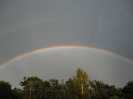 Regenbogen über Wippingen