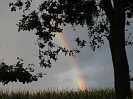 Regenbogen über Wippingen