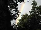 Regenbogen über Wippingen