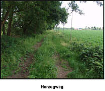 Herzogweg Wippingen