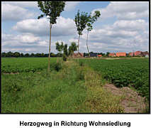 Herzogweg Wippingen