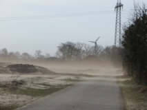 Wind auf dem Höpen