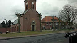 Enthauptete Bäume bei der Kirche