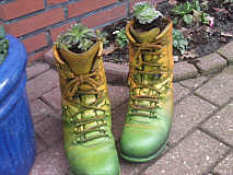 Alte Stiefel als Blumentopf