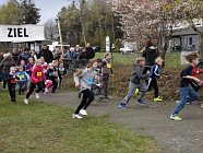 Lauf- und Erlebniswandertag in Wippingen