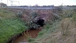 Brücke über den Börger Graben