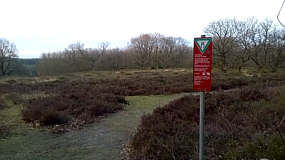 Naturschutzgebiet Am Busch