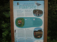 Flaarsee