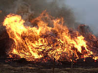 Osterfeuer Strootburg