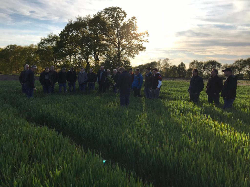 Feldtag des Landvolks Wippingen 15.05.2019