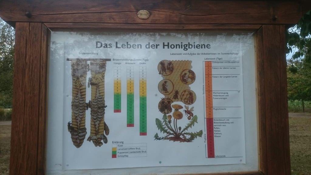 Schautafel Im Pfarrgarten 2019