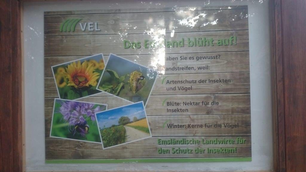 Schautafel Im Pfarrgarten 2019