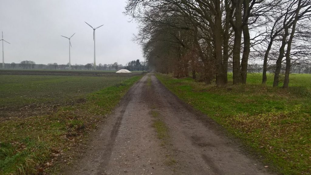 Wippinger Kirchweg Richtung Brokamp