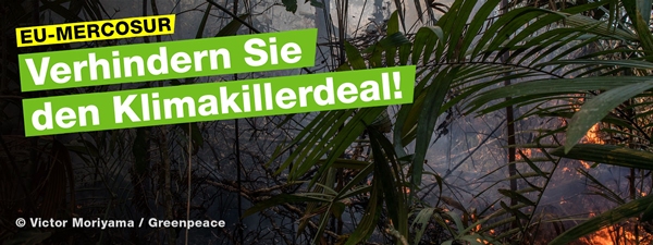 Zur Greenpeace-Homepage