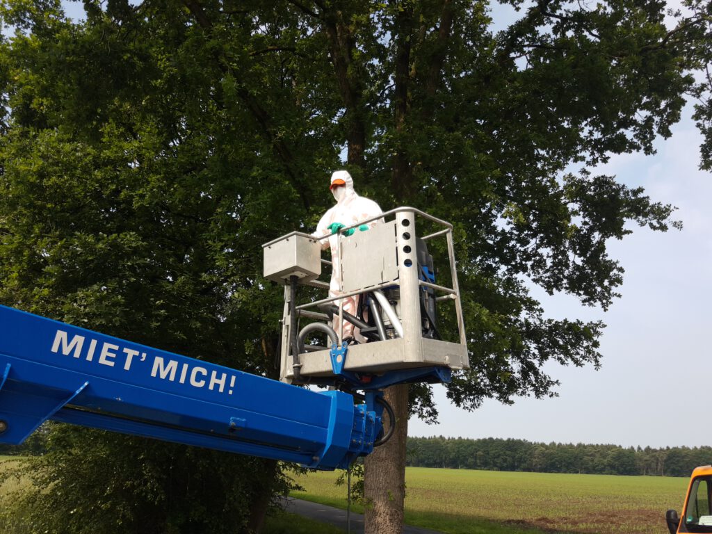 Spezialfirma bei der Bekämpfung des Eichenprozessionsspinners an der Neudörpener Straße am 19.06.2020