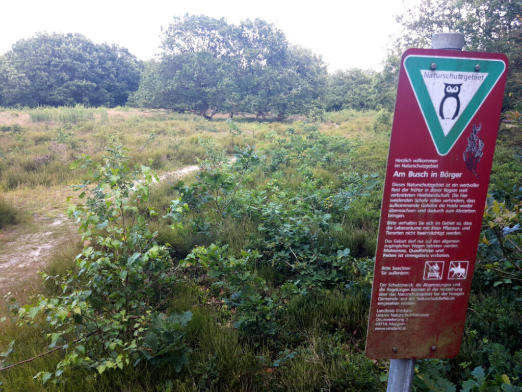 Verbuschung im Naturschutzgebiet Am Busch Börger