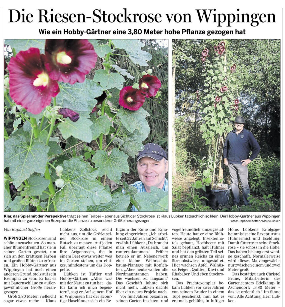 Ems-Zeitung vom 12.08.2020