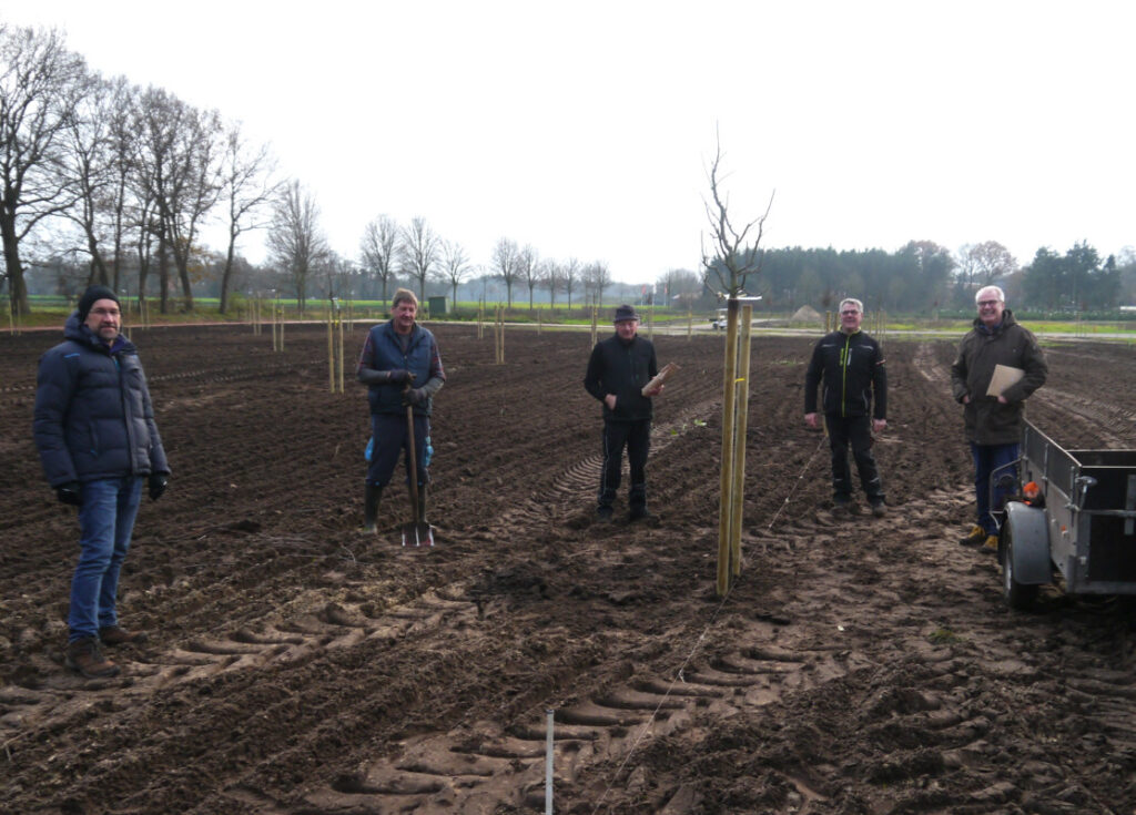 Obstbäume setzen im Baugebiet Sonderburgstraße 12/2020