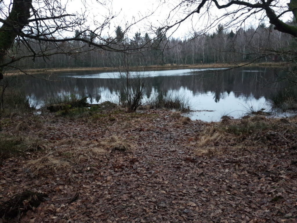 Silbersee im Lahner Nordholz