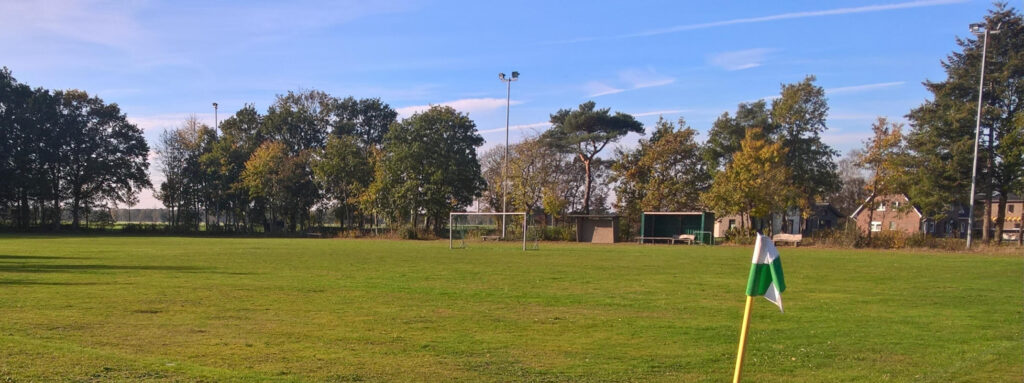 Baumreihe am Sportplatz im November 2018