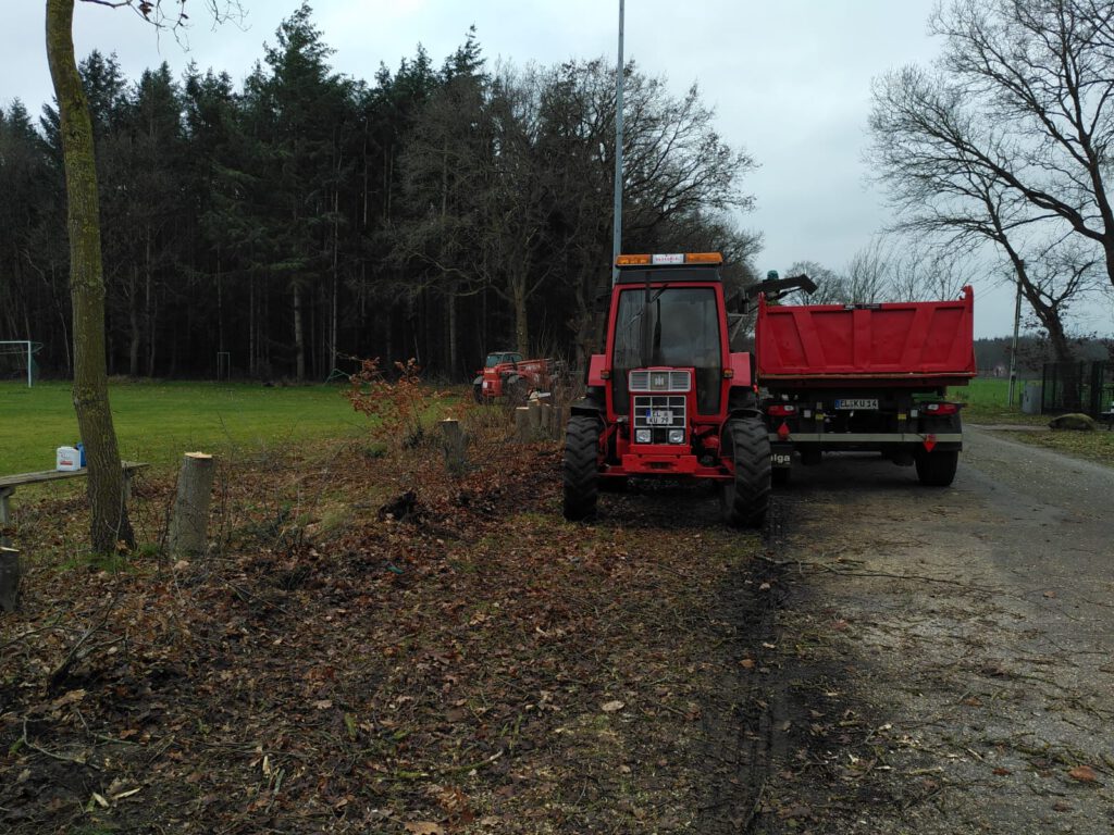 Baumfällarbeiten am Sportplatz