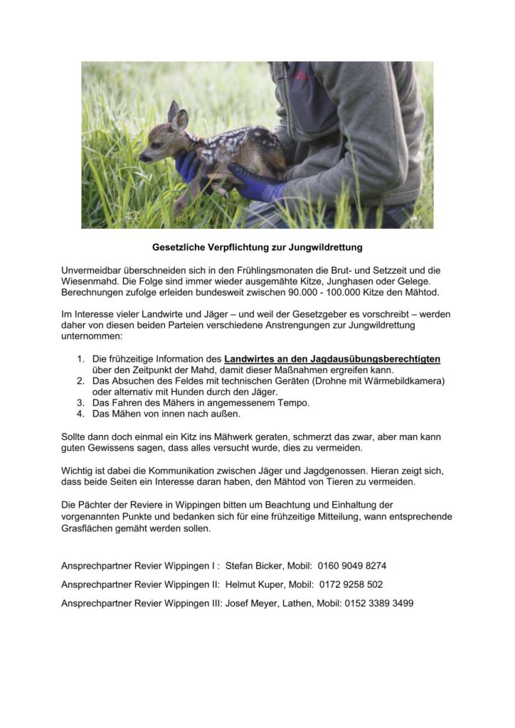 Flyer der Wippinger Jägerschaft zum Schutz der Jungtiere bei der Mahd