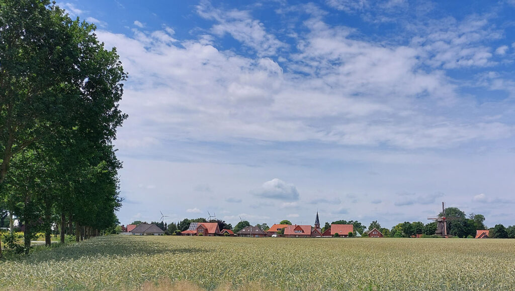 Getreidefeld bei Wippingen