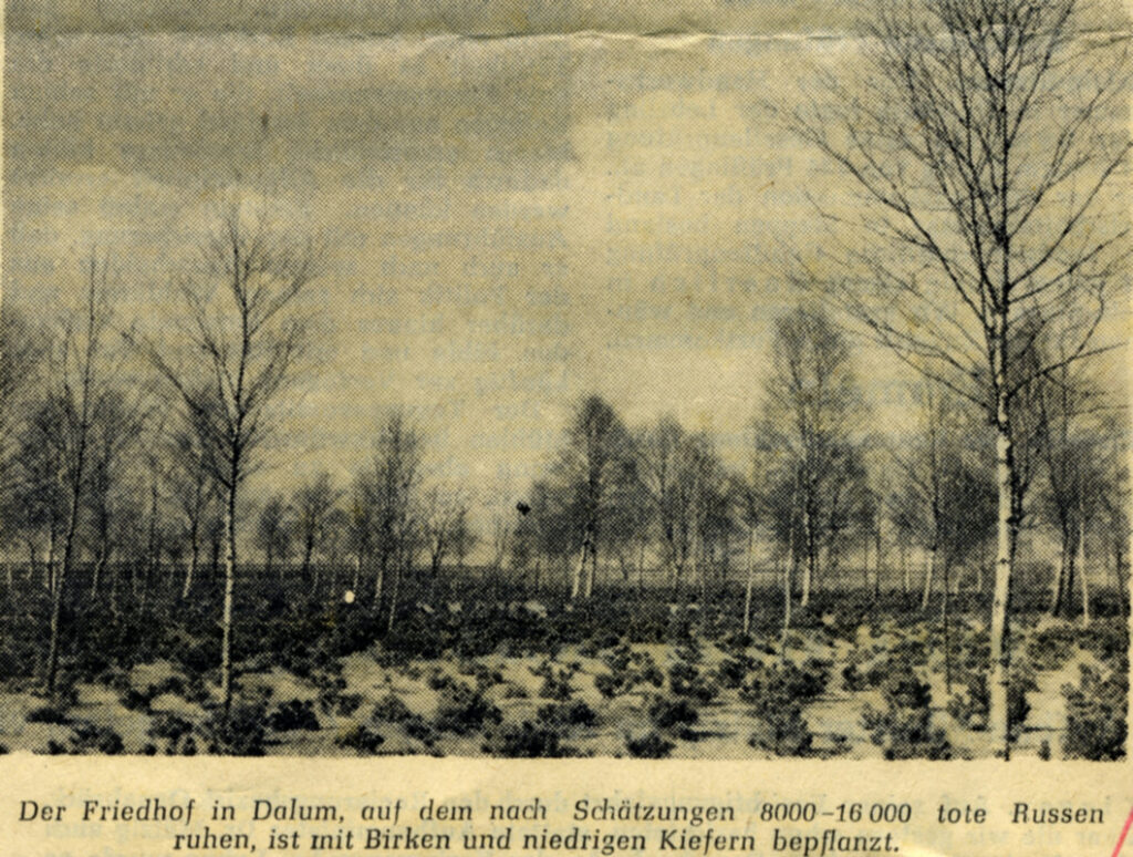Kriegsgräberstätte Dalum 1953 - Die Natur sollte die Erinnerung an die sowjetischen Kriegsopfer verdecken
