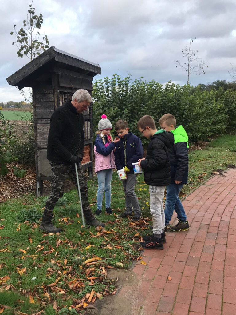 Tulpenpflanzaktion der Grundschule Wippingen 11/2022