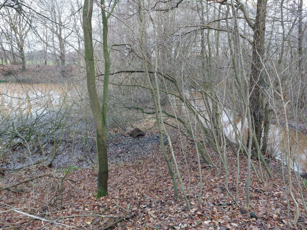 Wippinger Dever fließt in den Seitenkanal