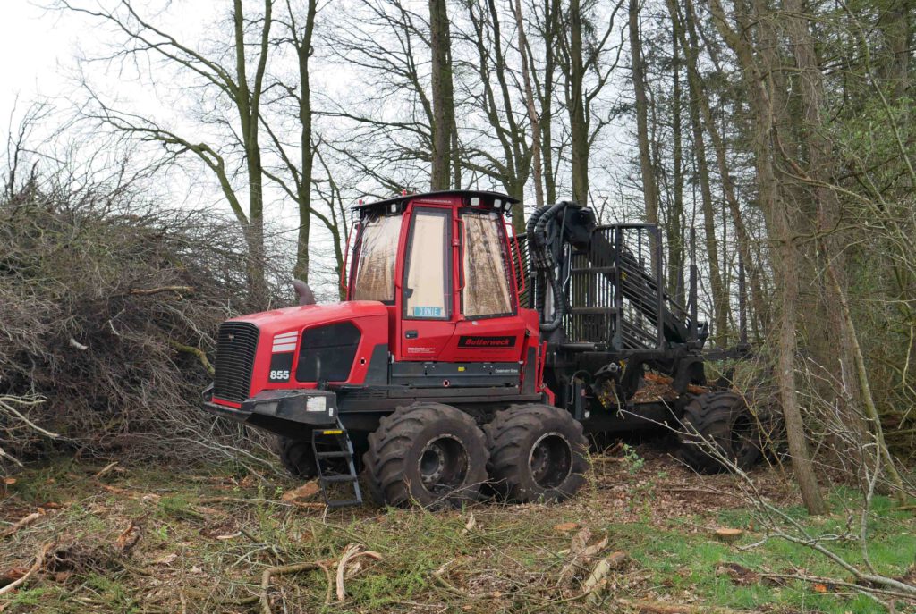 Kahlschlag beim Fleiereigraben II bei Wippingen