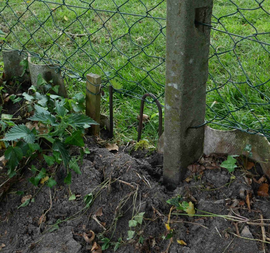 Zaun der Schafsweide in Neulehe 05/2024