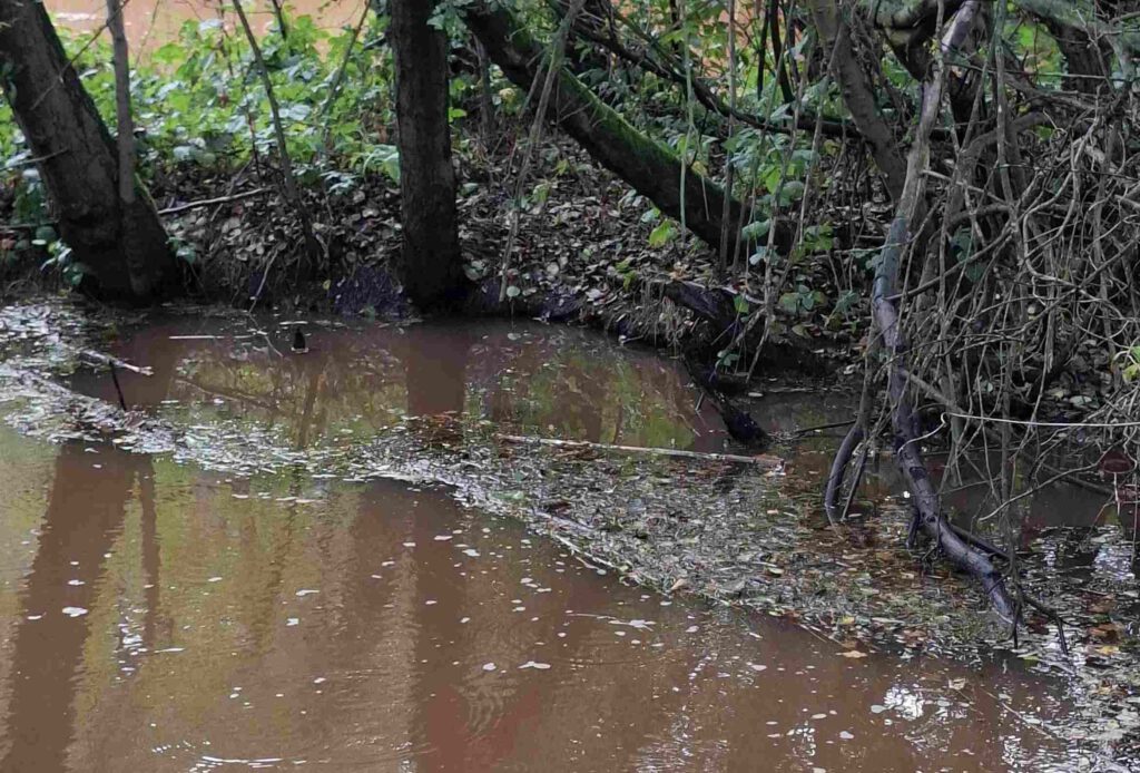 Treibgut im Seitenkanal