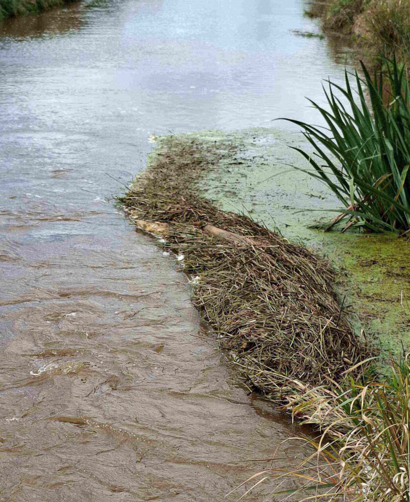 Stau in Wippinger Dever