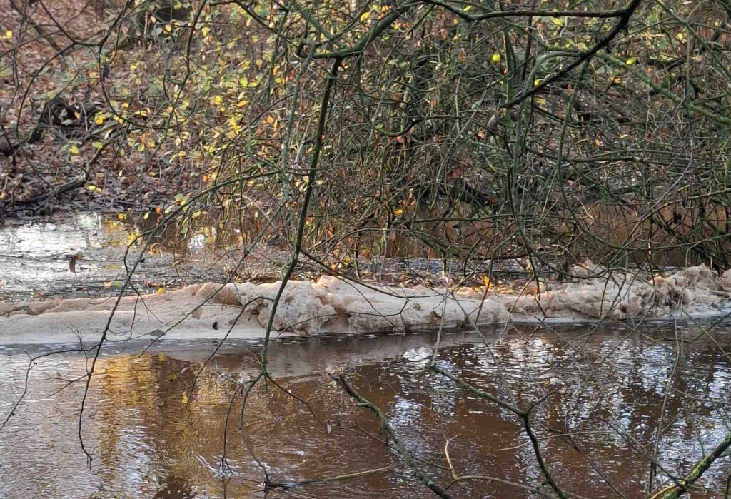 Schaum auf dem Seitenkanal Gleesen-Papenburg am Zufluss der Wippinger Dever