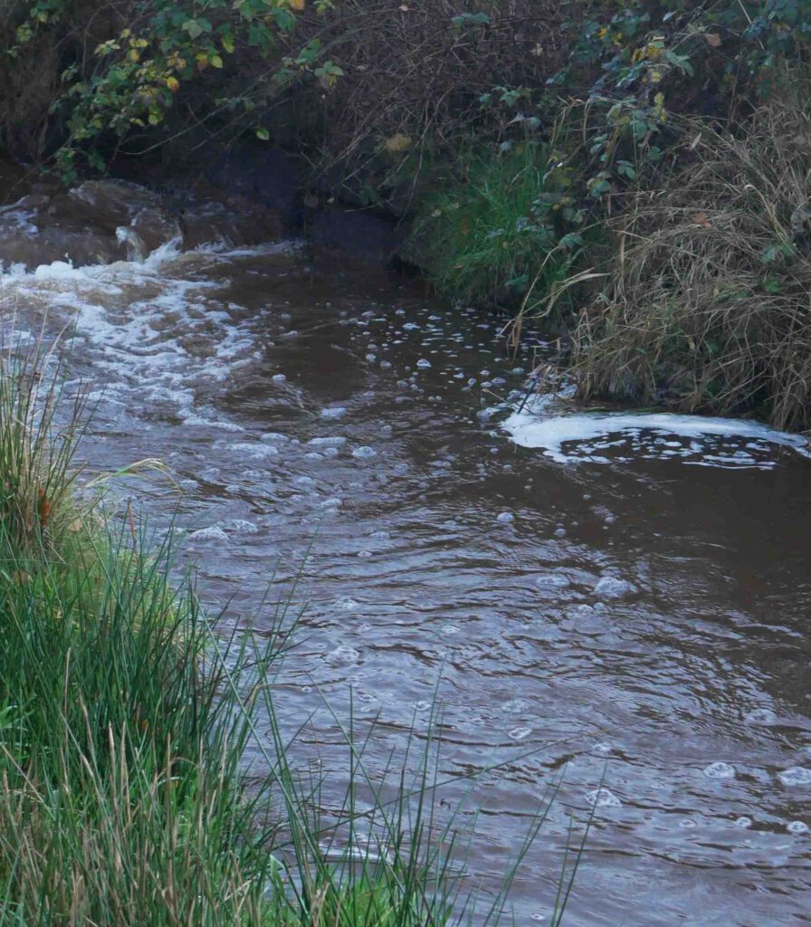Schaum auf der Haardever