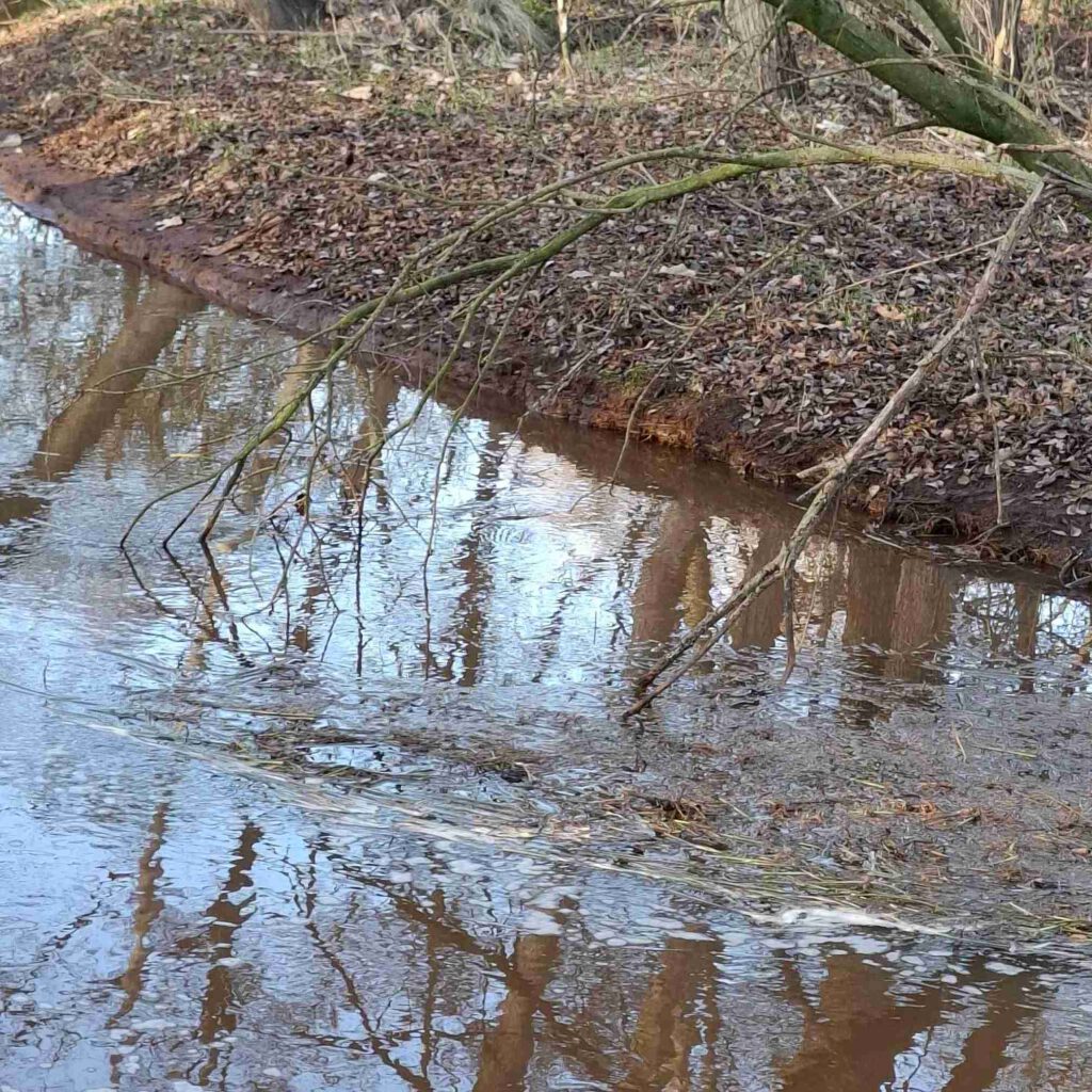 Treibgut verfängt sich an Ästen, die von den Inseln ins Wasser ragen.