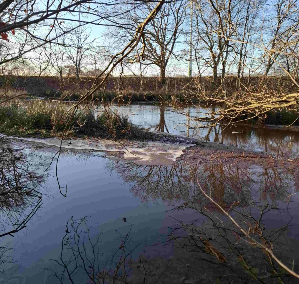 Inseln im Seitenkanal nördlich der Zuleitung der Wippinger Dever