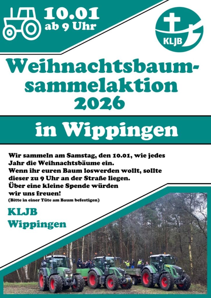 Flyer Weihnachtsbaumsammelaktion