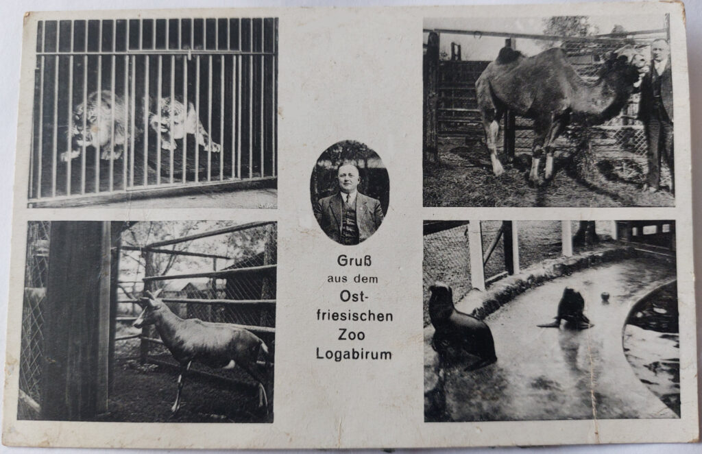 Ansichtskarte des Zoos Logabirum