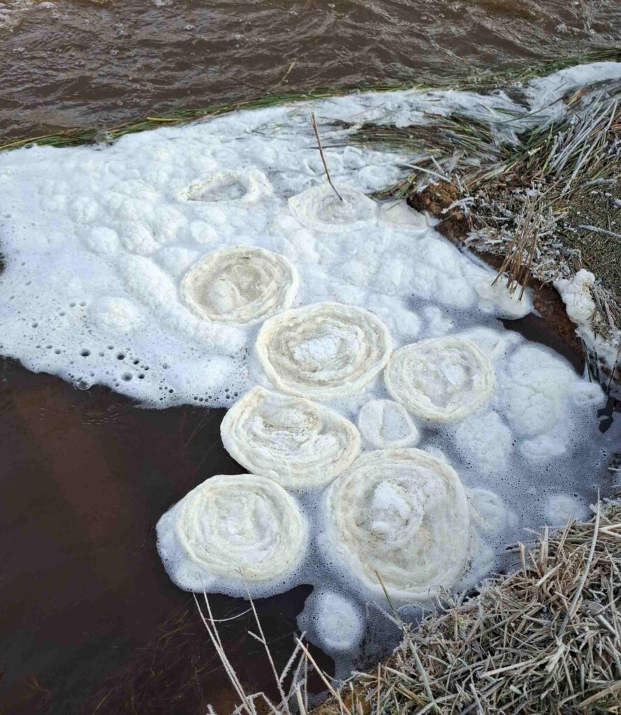 Schaumgebilder auf der Wippinger Dever