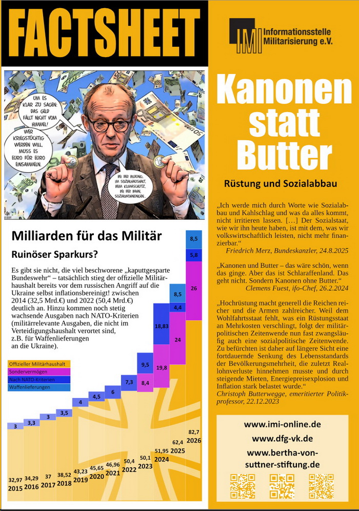 IMI Factsheet Kanonen statt Butter